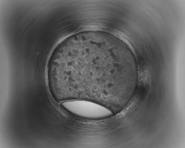 X0000095931035200802011017