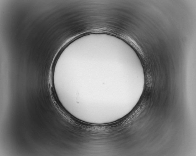 X0000095931036200802011017
