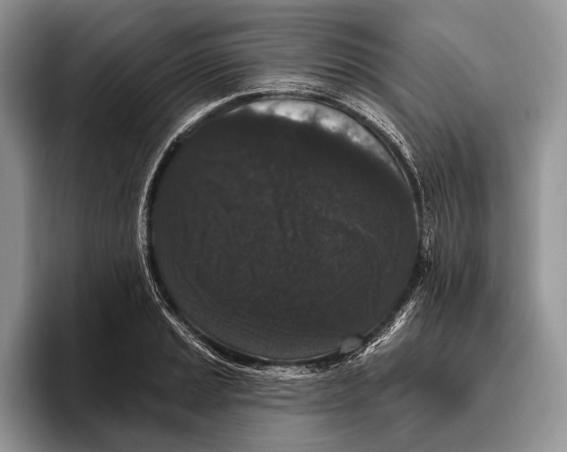 X0000095931037200802011017