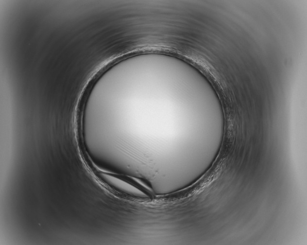 X0000095931038200802011017