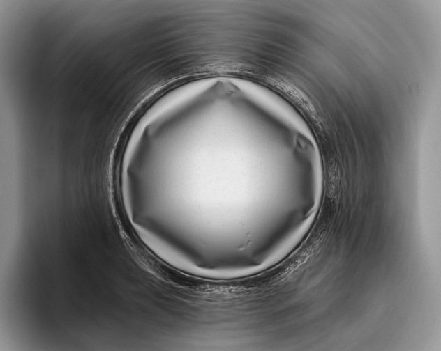 X0000095931039200802011017