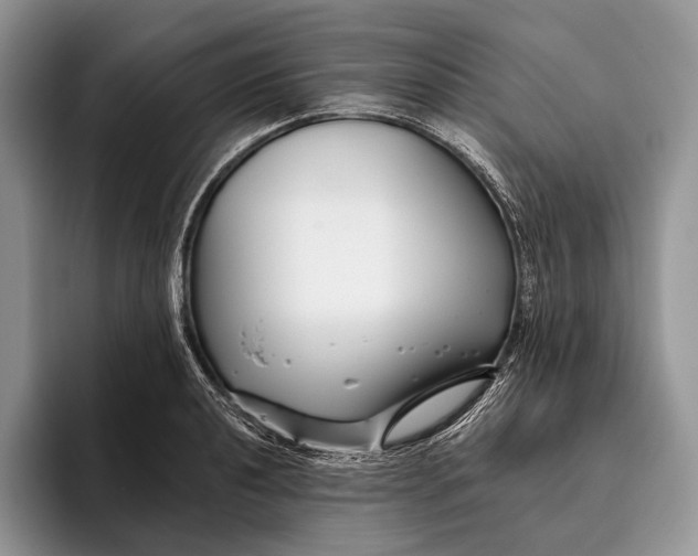X0000095931040200802011017