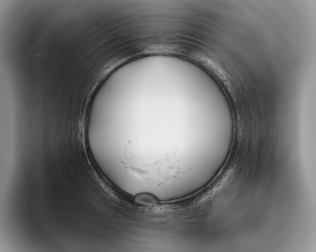 X0000095931041200802011017