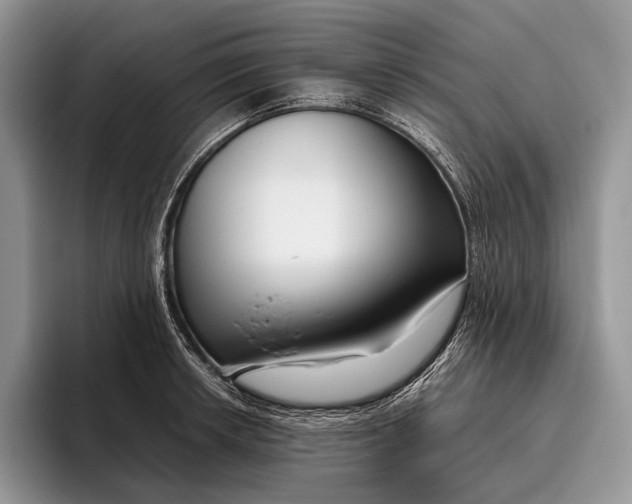 X0000095931042200802011017