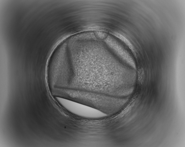X0000095931043200802011017