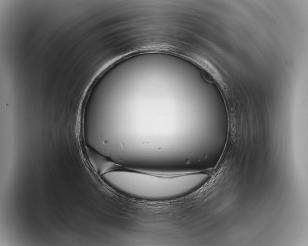 X0000095931044200802011017