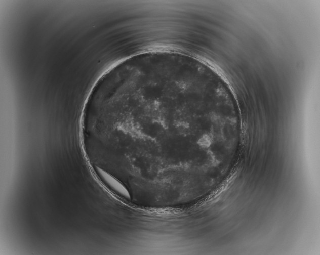 X0000095931045200802011017