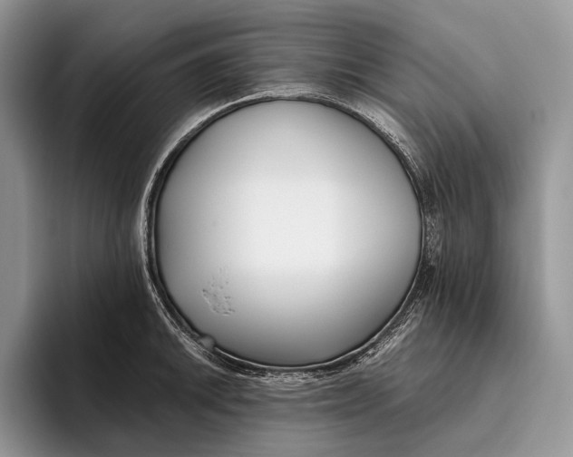 X0000095931046200802011017