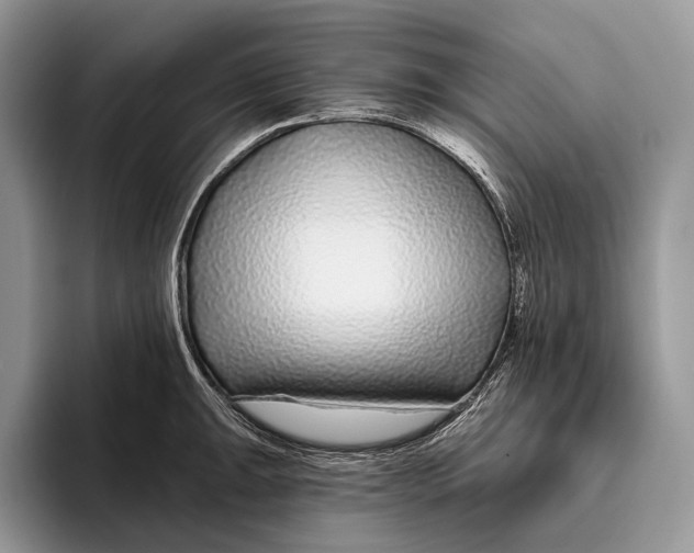 X0000095931047200802011017