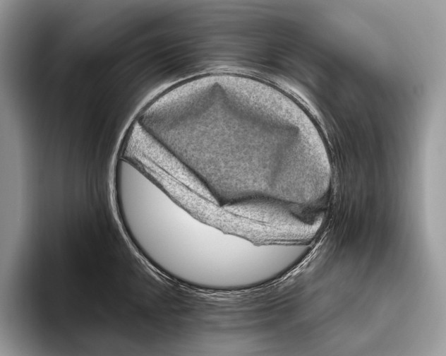 X0000095931048200802011017