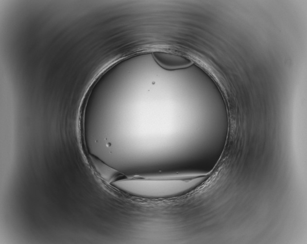 X0000095931050200802011017