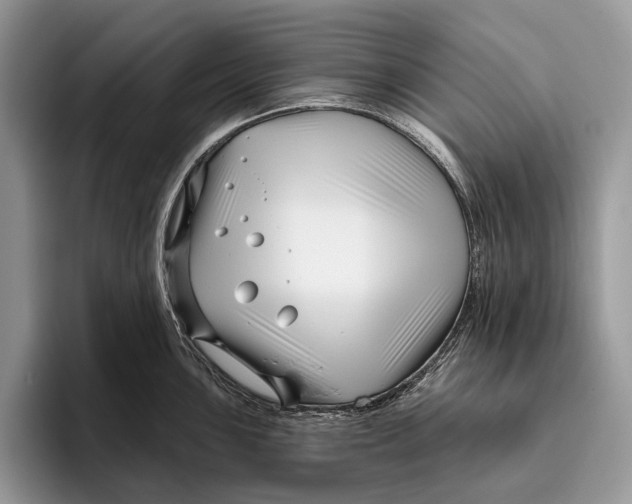 X0000095931051200802011017