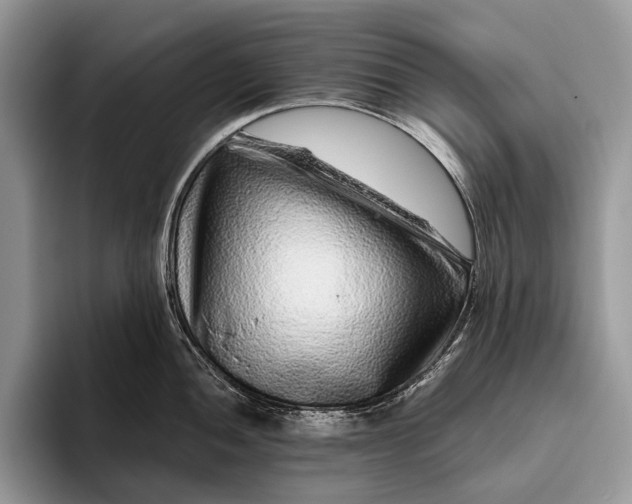 X0000095931052200802011017