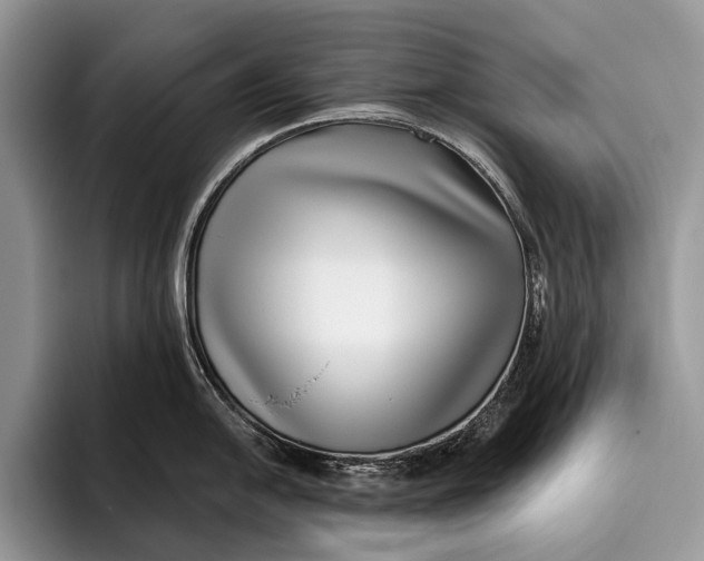 X0000095931054200802011017