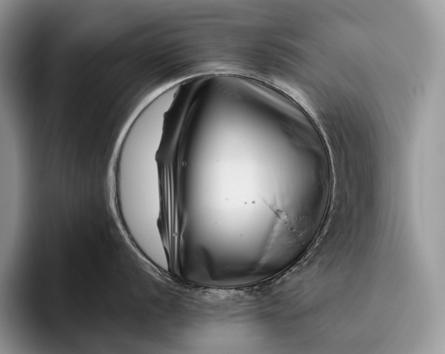 X0000095931056200802011017