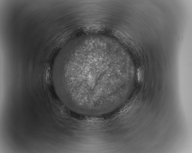 X0000095931059200802011017