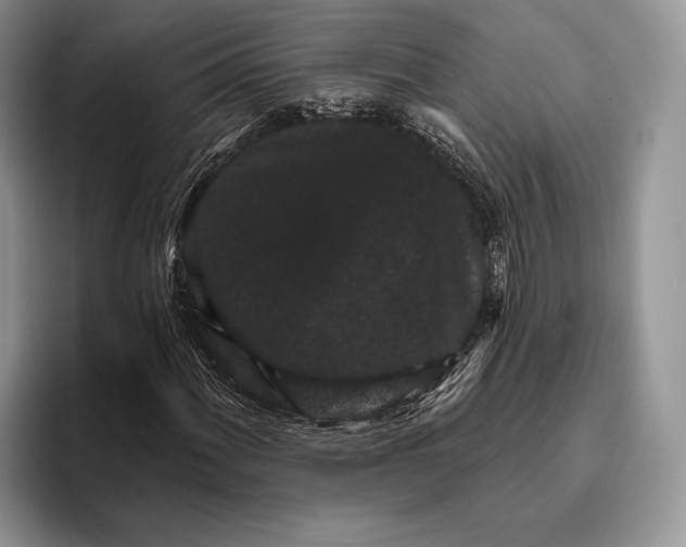 X0000095931060200802011017
