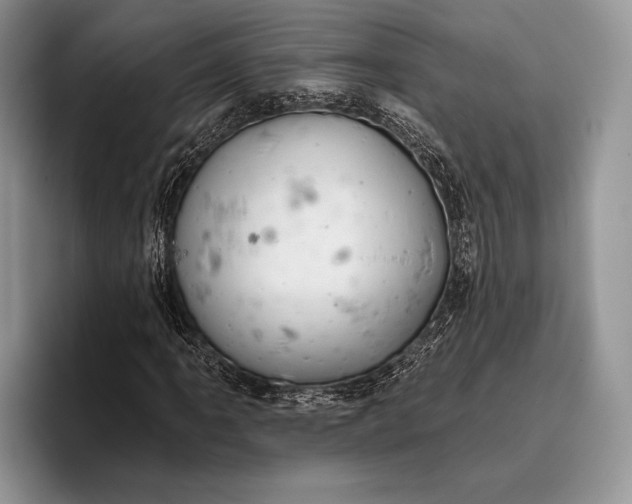 X0000095931061200802011016