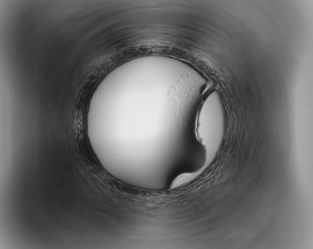 X0000095931062200802011016