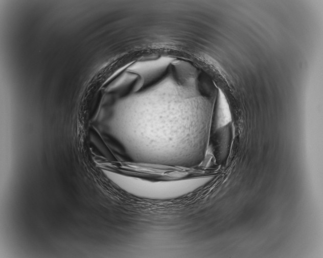 X0000095931064200802011016