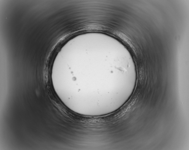 X0000095931067200802011016