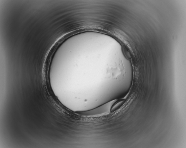 X0000095931068200802011016