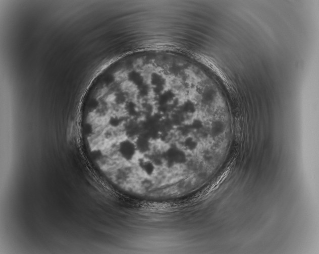 X0000095931071200802011016