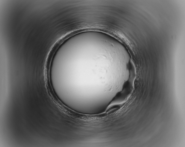 X0000095931072200802011016
