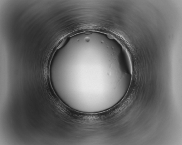 X0000095931073200802011016