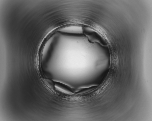 X0000095931076200802011016