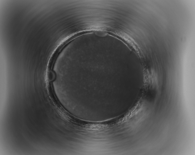 X0000095931077200802011016