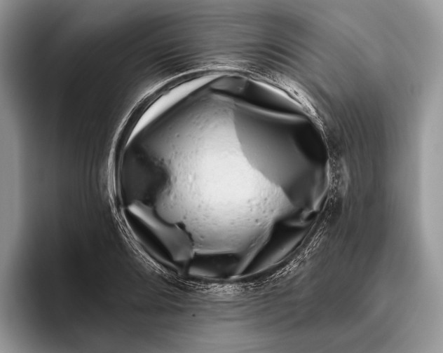 X0000095931080200802011016