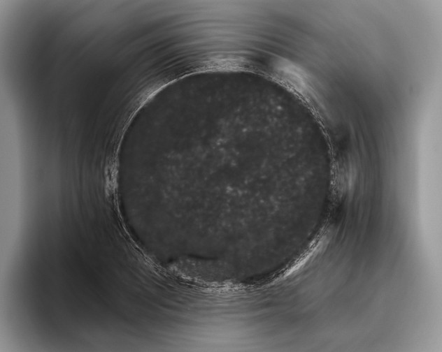X0000095931081200802011016