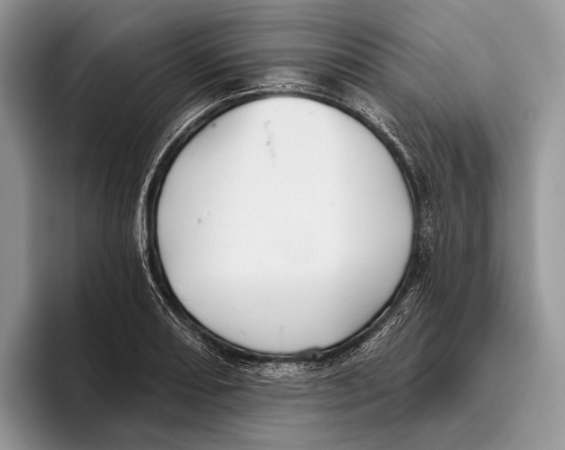 X0000095931082200802011016