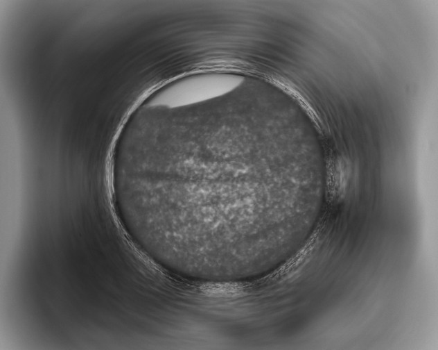 X0000095931083200802011016