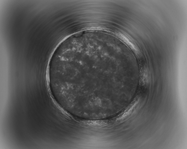 X0000095931084200802011016