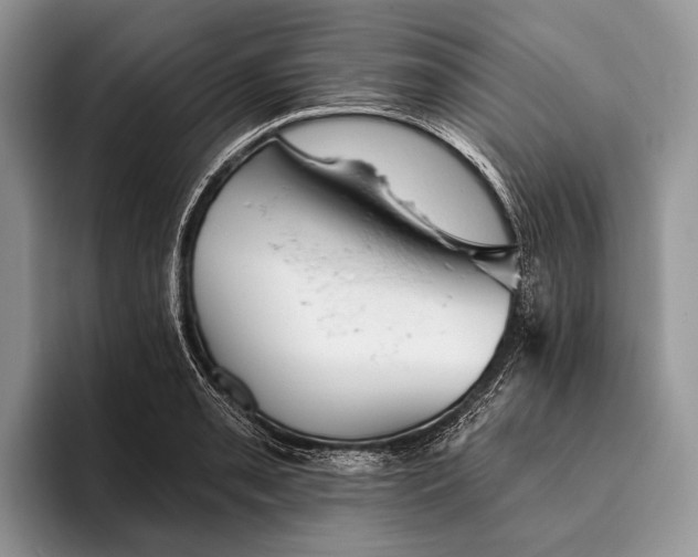 X0000095931085200802011016