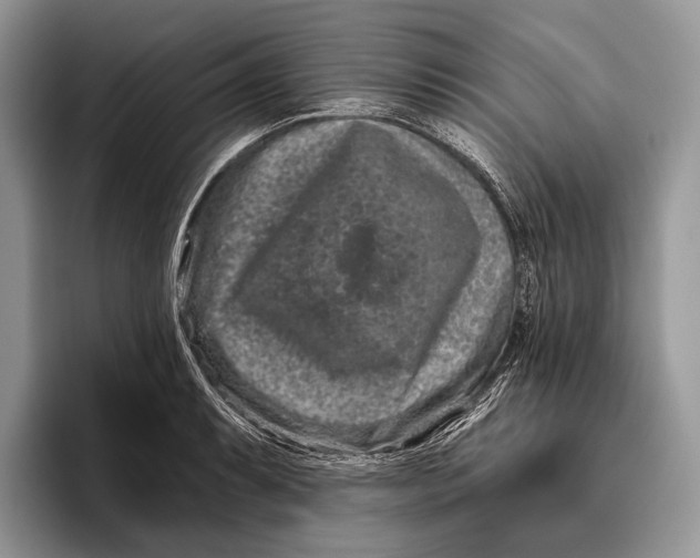 X0000095931087200802011016