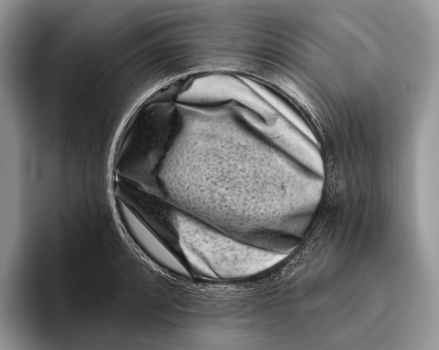 X0000095931088200802011016