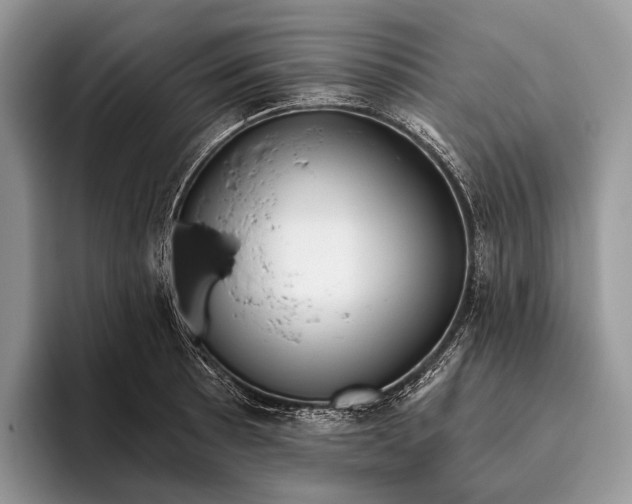 X0000095931089200802011016