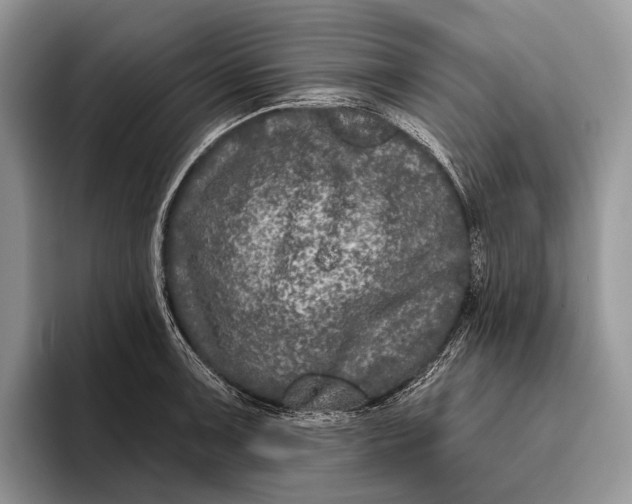 X0000095931091200802011016