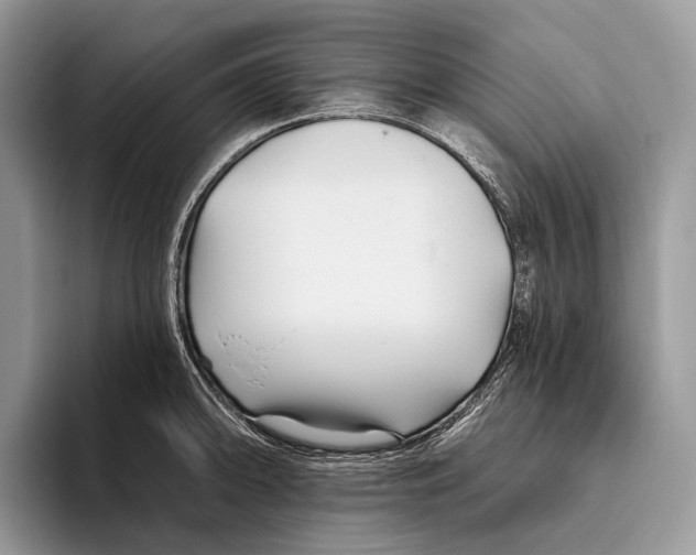 X0000095931094200802011016