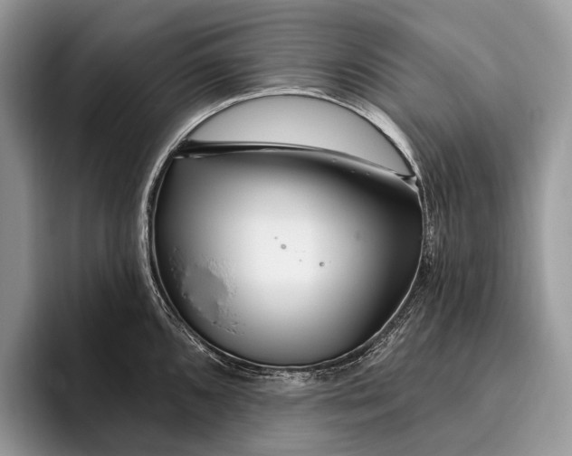 X0000095931096200802011016