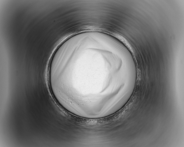 X0000095931098200802011016