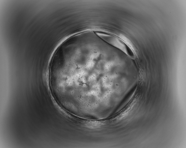 X0000095931100200802011016