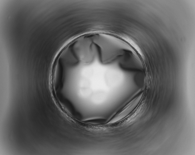 X0000095931101200802011016