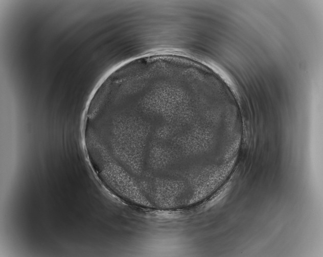 X0000095931102200802011016