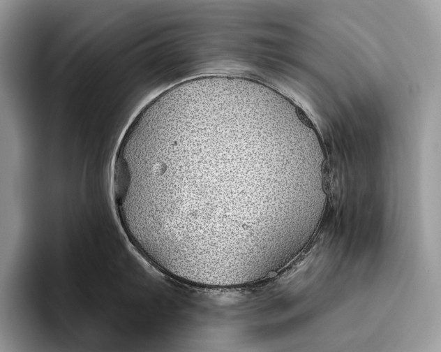 X0000095931103200802011016