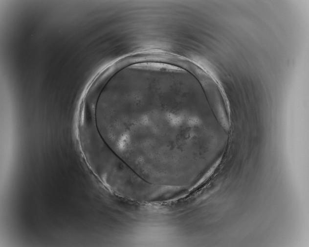 X0000095931104200802011016