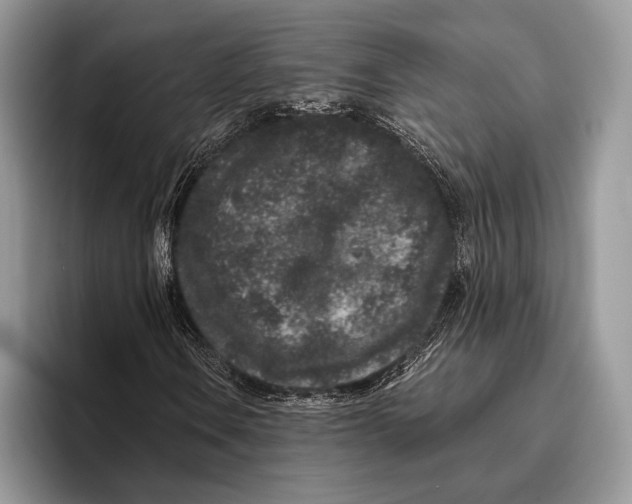 X0000095931106200802011015